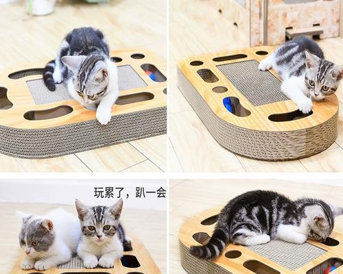 给猫磨爪，选择什么最好？（解决猫爪问题，为你的家具保驾护航）