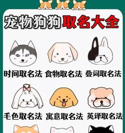 如何给金毛犬取名字（以金毛犬为主题的独特名字创意）