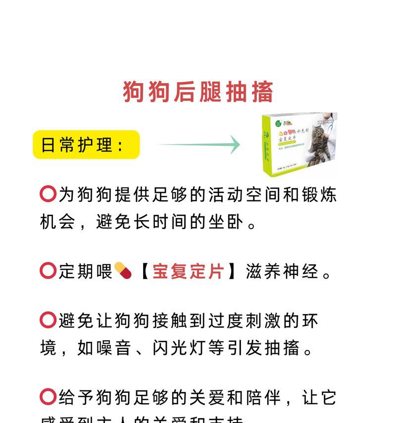 治疗狗狗抽搐的药物选择（探索有效的药物治疗狗狗抽搐的方法）