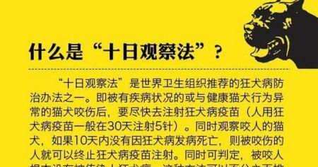 狗咬伤人需要打针的程度及应急措施