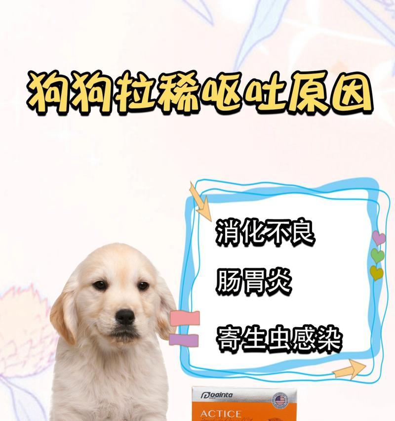 狗狗呕吐（了解狗狗呕吐的原因和如何调整饮食习惯）