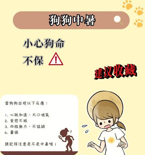 揭秘（探索狗狗身体内的热量秘密，让我们了解最佳护理时机）