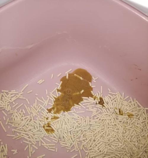 打针后的恶心感是怎么回事？（探讨打针后感到恶心的原因及应对方法）