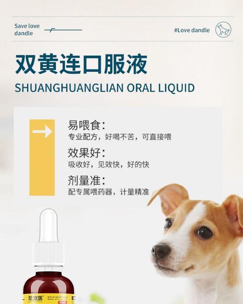犬流鼻涕咳嗽治疗药物及注意事项（针对犬流鼻涕咳嗽的药物治疗以及相关的预防措施）