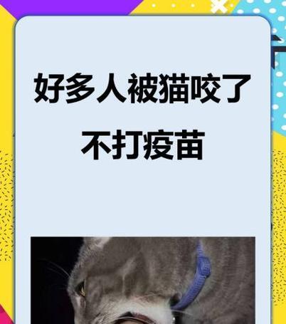 猫咪养护（了解猫咪应接种的关键疫苗以确保其健康和安全）