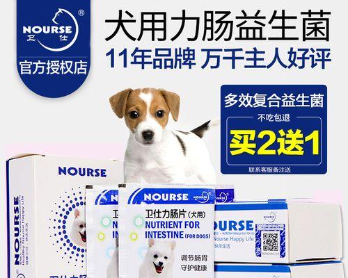 泰迪狗拉肚子的原因及预防方法（探究泰迪狗拉肚子的常见原因，以及如何有效预防）