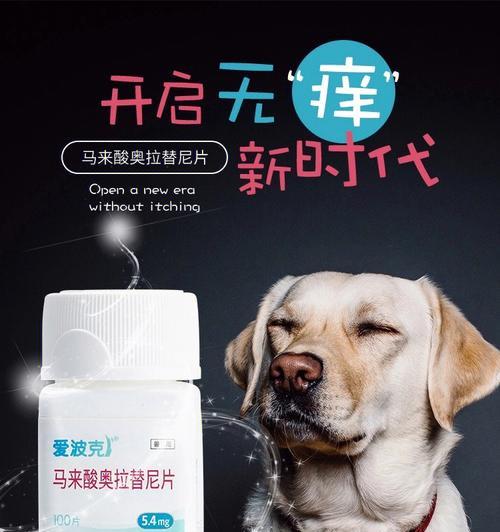 解决狗狗口腔炎的有效药物（口腔健康始于药物保护）