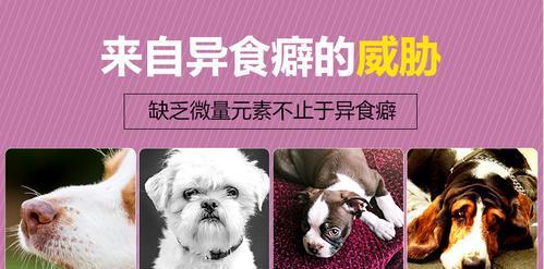 狗狗流口水如何通过药物管理（探索狗狗流口水的原因和有效的药物治疗方法）