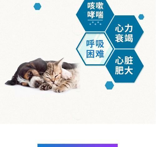 狗哮喘的药物治疗方法（了解狗哮喘的症状、常见治疗药物及注意事项）
