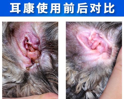 以尔康滴耳液（以尔康滴耳液的功效和使用方法详解）