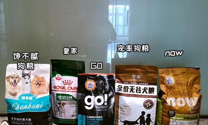 狗配种期间饮食要注意什么？（保障狗狗健康，正确安排饮食。）