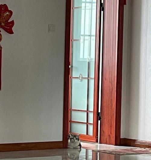 猫咪的角落迷情（揭秘猫咪为何钟爱藏身角落）