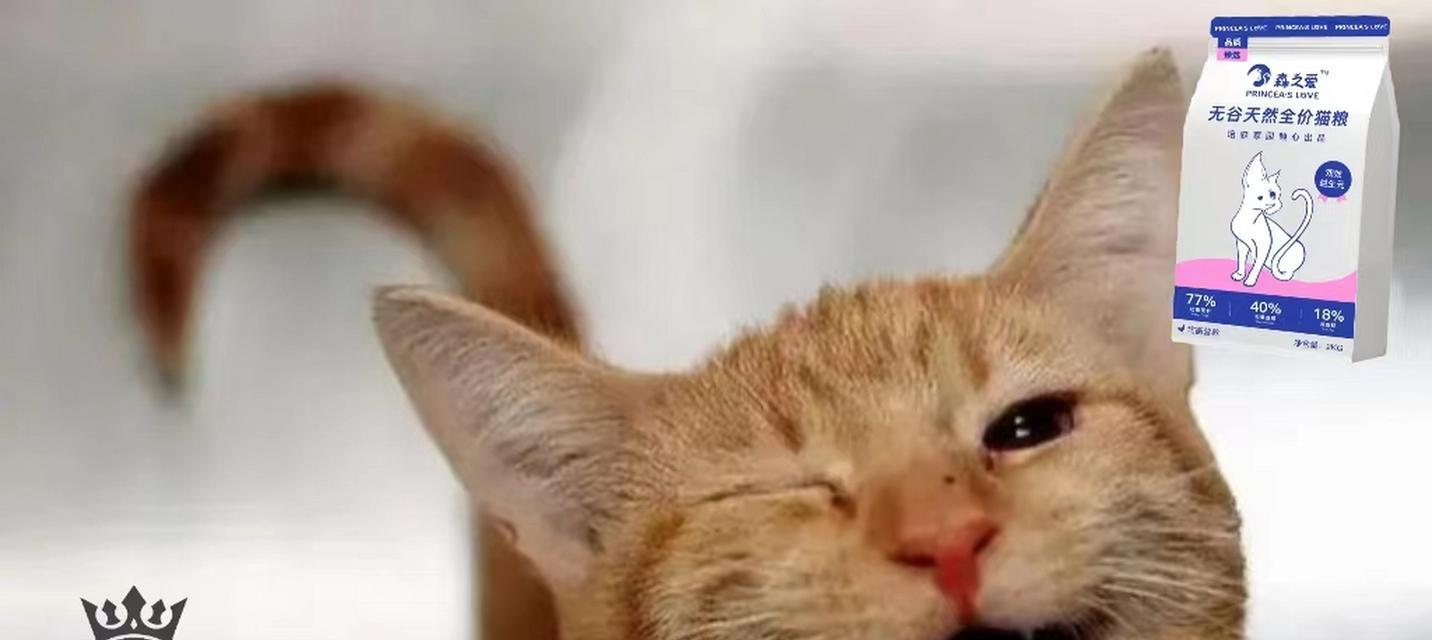 探秘猫咪抖尾巴的含义（解读猫咪抖尾巴行为的奥秘）