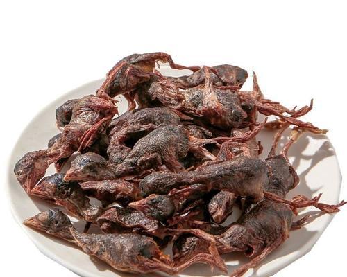 狗狗零食推荐（从健康角度出发，为你的宠物提供最佳零食选择！）