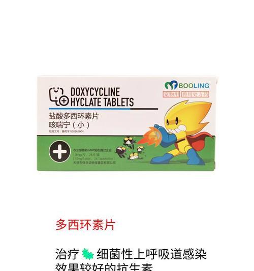 怀孕母猫鼻支喂药的注意事项（了解正确的药物选择和用药方法，守护母猫健康）