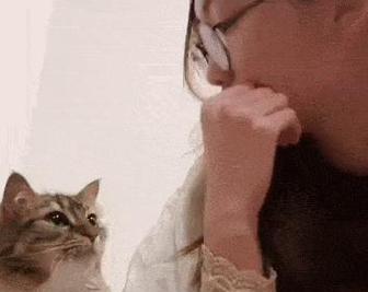 为什么猫总爱抓主人？（猫咪抓主人的原因和解决办法）