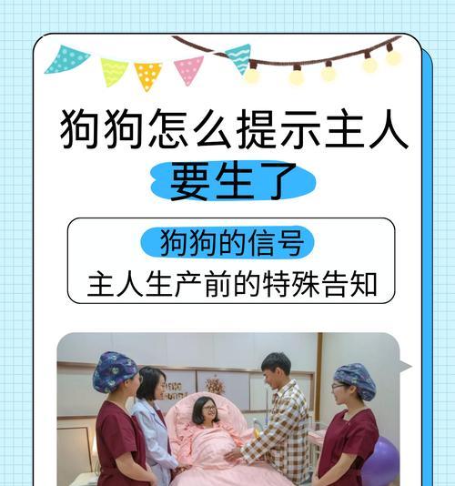 为什么狗狗会对主人叫？（探究狗狗对主人叫的原因以及背后的意义）