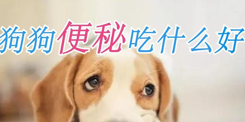 狗狗便秘的原因与治疗方法（为你的爱犬摆脱便秘困扰，）