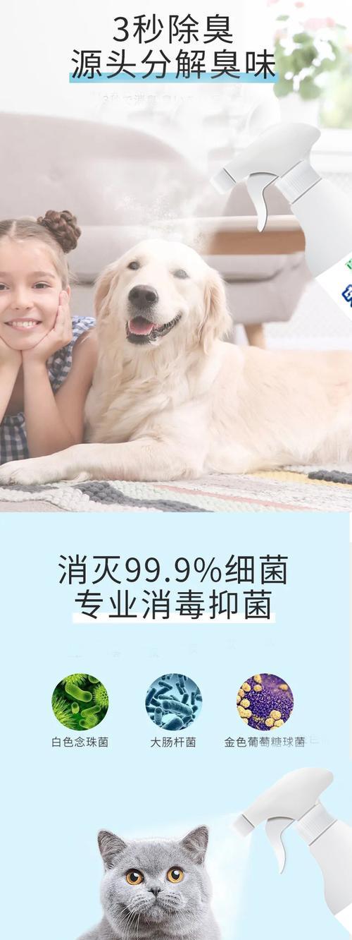 去除狗尿异味的有效方法（保持家居清新的狗尿处理技巧）