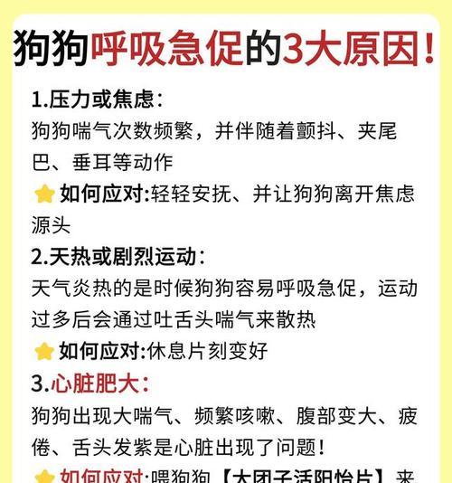 狗狗总咳嗽不好的原因（探究狗狗频繁咳嗽的背后原因及处理方法）