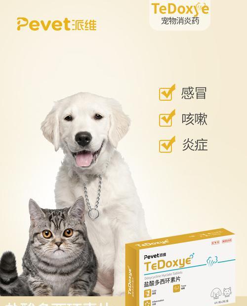 狗狗咳嗽消炎药有哪些选择？（了解狗狗咳嗽常用的消炎药品及作用机制）