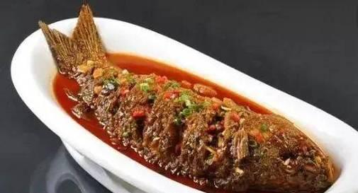 如何科学养鲤鱼（鲤鱼的食物与营养需求）