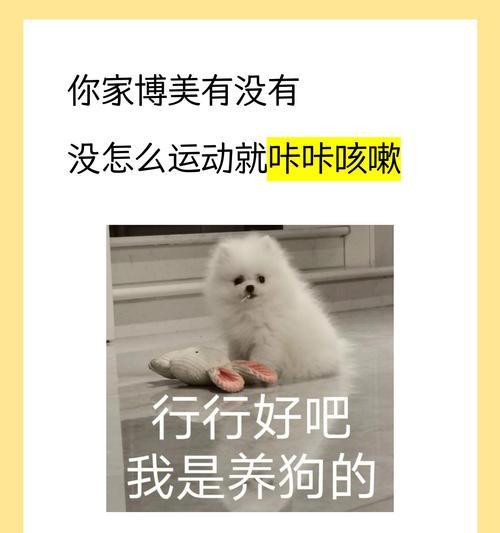 博美幼犬打喷嚏的原因和应对方法（探索博美幼犬打喷嚏的原因，提供有效应对方法）
