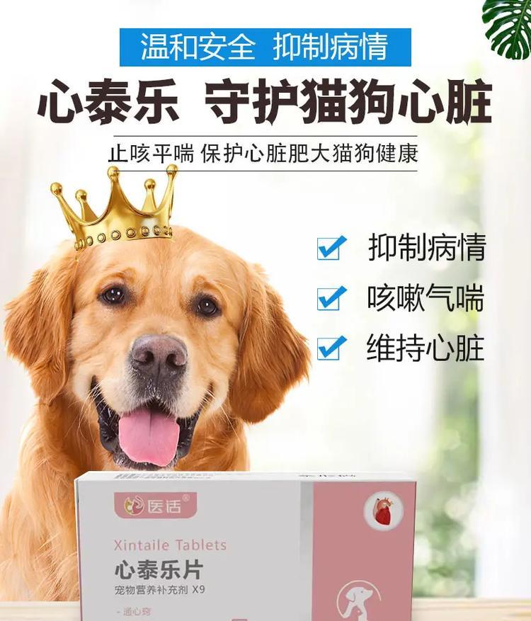 幼犬拉稀怎么办？药物治疗是关键！（选择适用的药物，帮助幼犬恢复健康）