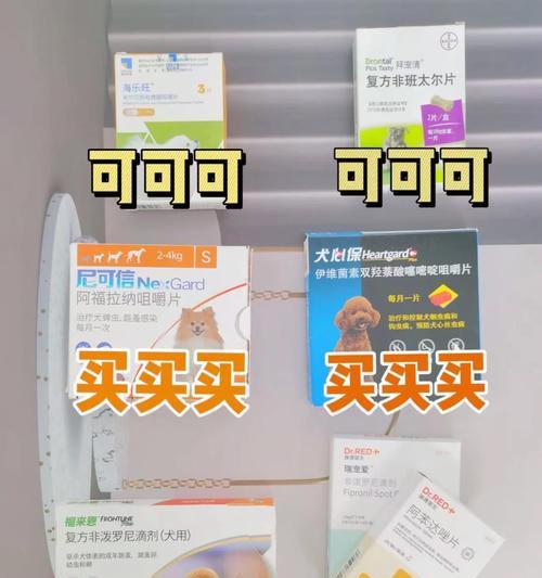 狗大便干燥的原因及解决方法（了解干燥狗大便的原因，给你的爱犬提供正确的饮食和护理）