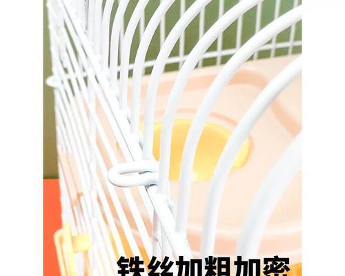 仓鼠为什么要舔铁笼？（探究仓鼠舔铁笼的原因及意义）