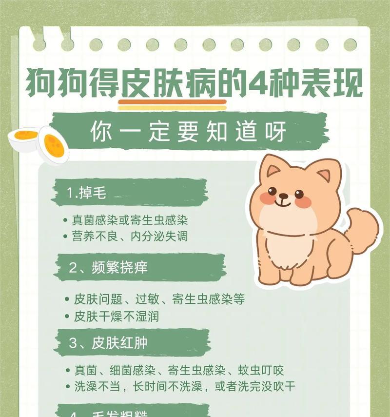 狗皮肤病的常见原因及预防措施（探究狗皮肤病的发生机制及解决方法）
