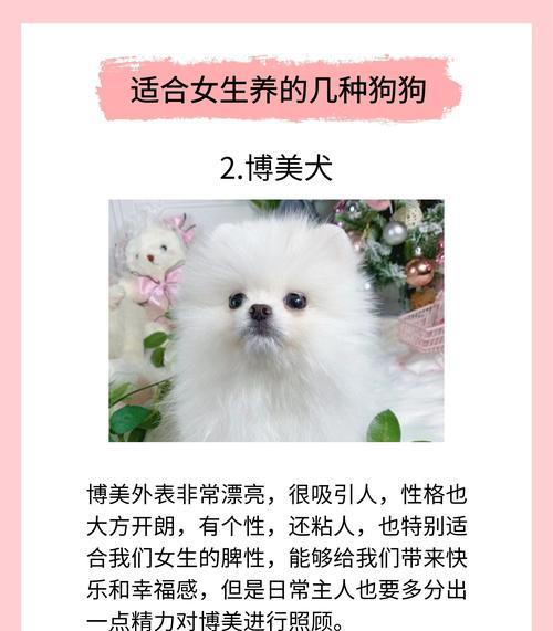 温顺听话又便宜的狗狗品种推荐（选择一只适合家庭的小伙伴，）