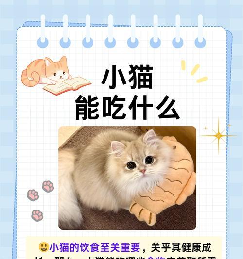 新生猫如何正确喂养？（了解新生猫的饮食需求和喂养方法，让它健康成长。）