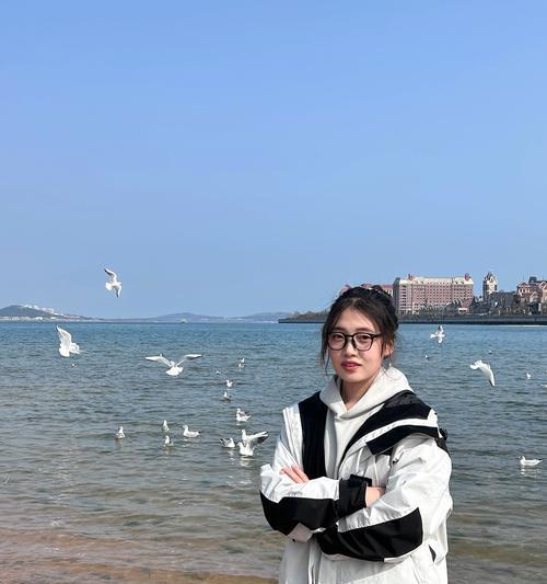 喂海鸥（保护海鸥生态环境，给予它们正确的食物补给）