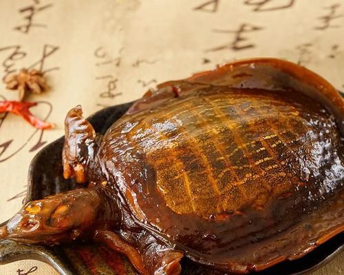 黄乌龟的主食与营养需求（揭秘黄乌龟的饮食偏好与健康养护法）