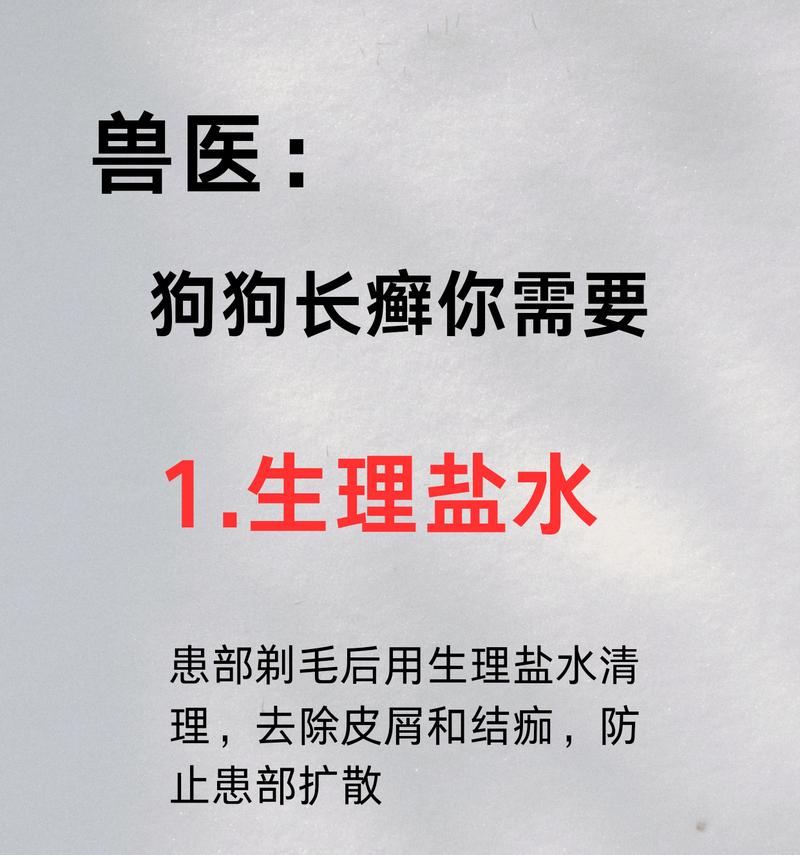 揭秘狗狗身上起癣的原因（狗狗癣病的危害及治疗方法）