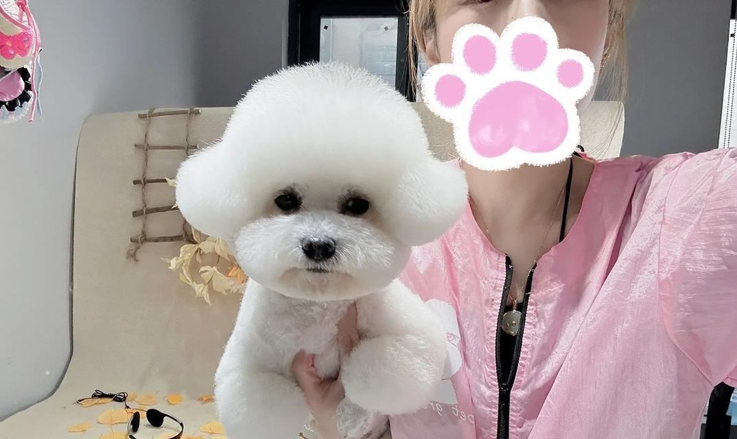 狗狗为何不能剃毛？（探索剃毛对狗狗的影响与风险）