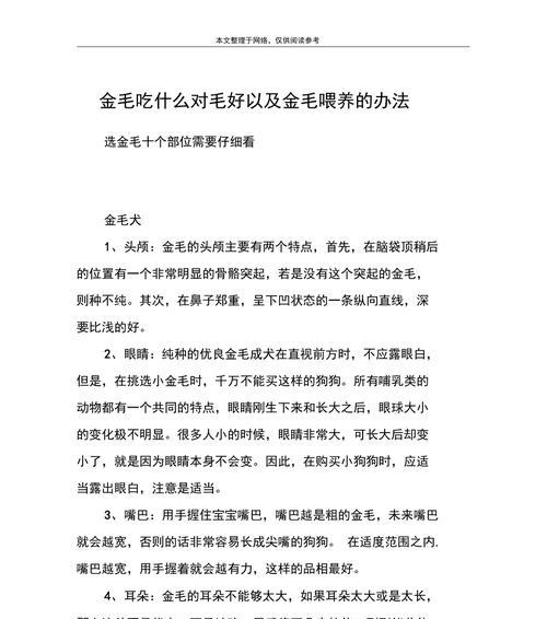 金毛呕吐应该吃什么？（金毛呕吐急需这种食物！）