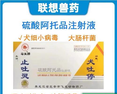 细小食物补身体的秘密（发现细小食物的不可思议功效，为你揭开健康的新奇之道）