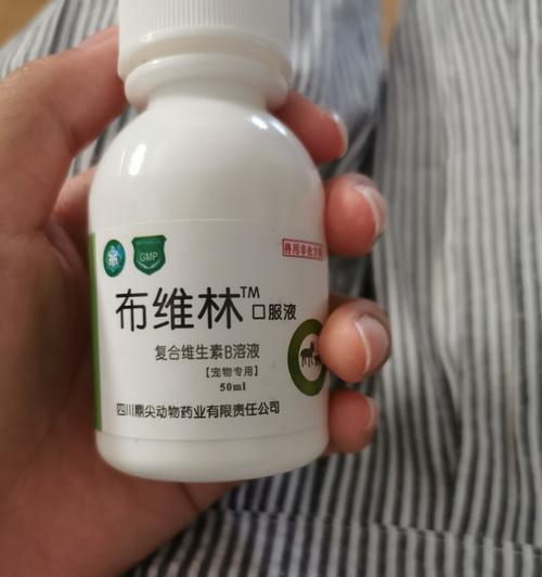 狗神经炎的药物治疗方案（了解狗神经炎及其治疗的关键药物）