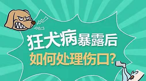 小狗什么时候打狂犬疫苗？（保护宠物健康，合理安排疫苗接种时间）
