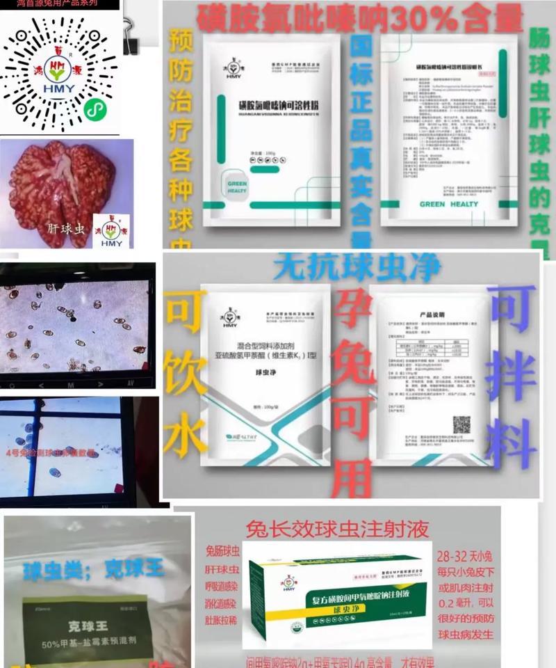 兔子常见疾病及预防方法（了解兔子的病症，呵护宠物健康）