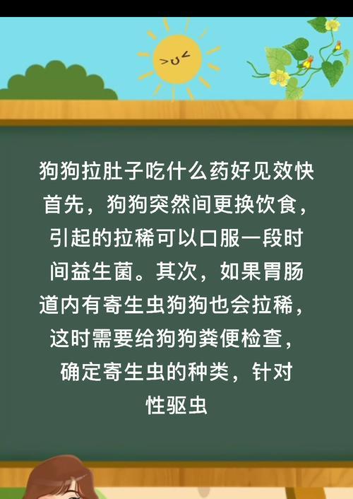狗狗粪检查（狗狗粪检查的重要性及如何正确执行检查）