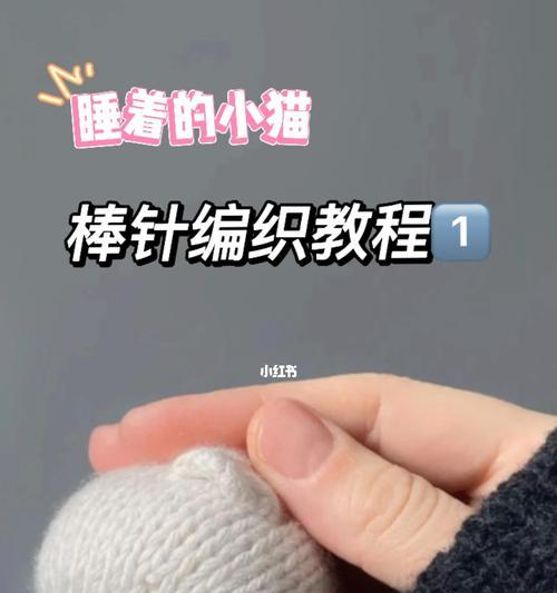 小猫需要打哪些针？（保护宠物猫健康的必要措施）
