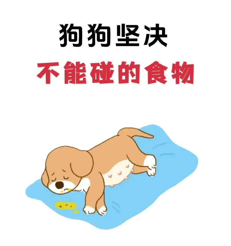 小狗的饮食选择（探索小狗最佳食物选择，为宠物健康提供充足营养）