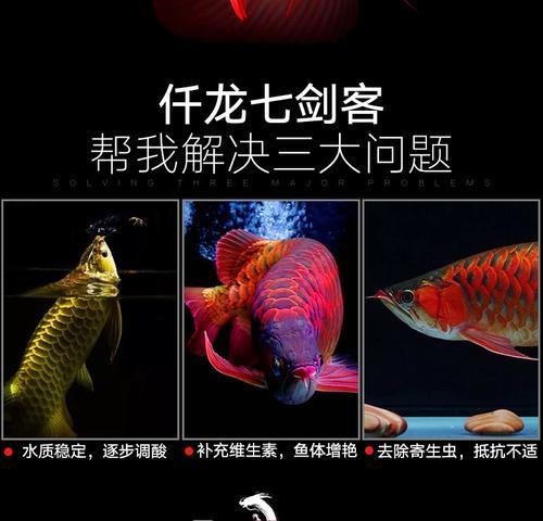 提升龙鱼消化能力的方法（关键饲料种类与适当饲养环境对龙鱼消化的影响）