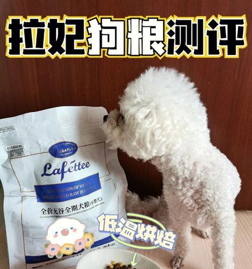 探究泰迪连续低温的原因及影响（寒冷气候下泰迪熊的生存困境与适应策略）