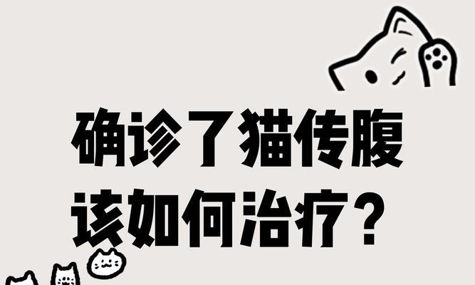猫传腹症状（探讨猫传腹的症状、危害与预防措施）