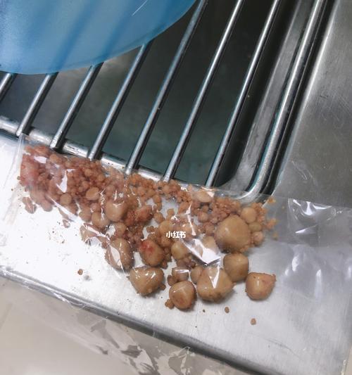 狗狗膀胱结石饮食指南（膀胱结石的预防与治疗方法，以及适合狗狗的健康食谱）