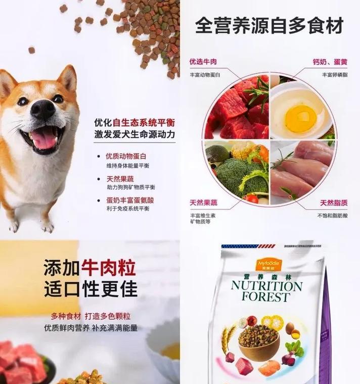 以比熊结育后如何选择合适的狗粮？（为您的比熊提供最佳的营养与呵护）